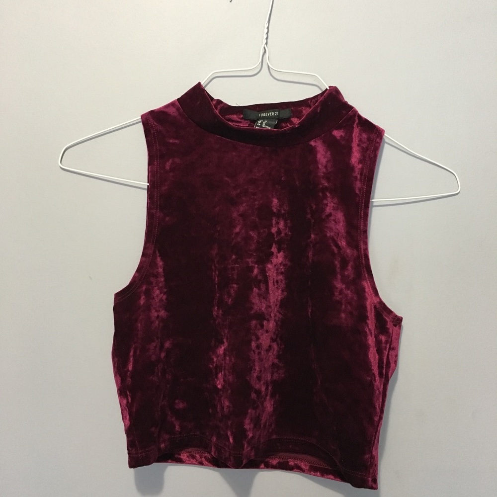 Forever 21 Crushed Velvet Crop Top